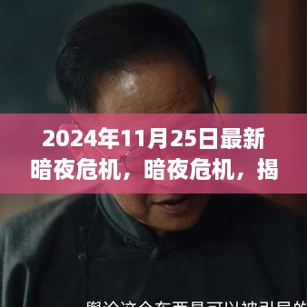 揭秘，2024年11月25日暗夜危機的背后故事與影響揭秘