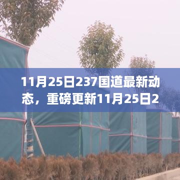 11月25日237國(guó)道最新動(dòng)態(tài)全解析，路況、施工及出行指南