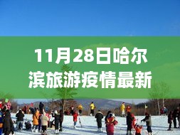 疫情下安全游哈爾濱，最新旅游指南與實用建議（初學(xué)者與進階用戶適用）