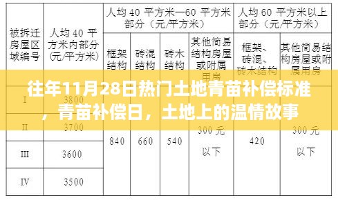 往年11月28日熱門話題，土地青苗補償標準與溫情故事回顧