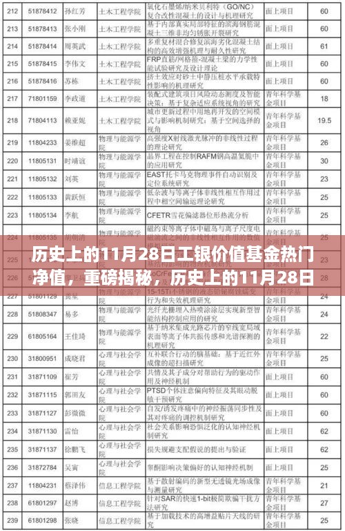 揭秘，歷史上的工銀價(jià)值基金凈值飆升背后的故事——聚焦11月28日熱門凈值日解密