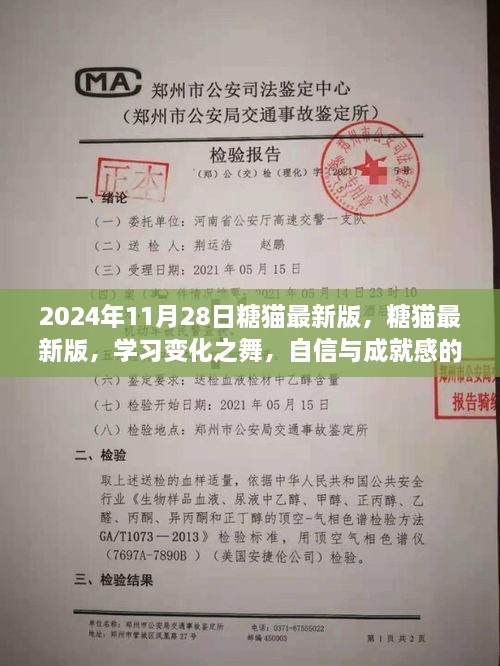 2024年11月28日糖貓最新版，糖貓最新版，學(xué)習(xí)變化之舞，自信與成就感的魔法之旅