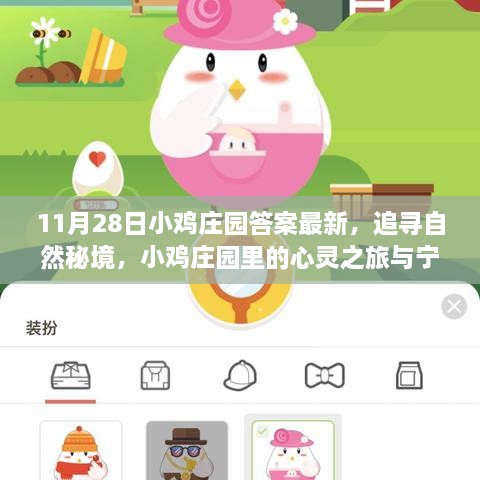 11月28日小雞莊園答案最新，追尋自然秘境，小雞莊園里的心靈之旅與寧靜的擁抱