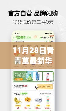 涉黃警告，11月28日青青草最新華人免費資源獲取指南及全攻略