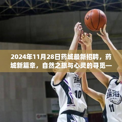 2024年11月28日藥城最新招聘，藥城新篇章，自然之旅與心靈的尋覓——2024年11月28日招聘之旅啟程啦！