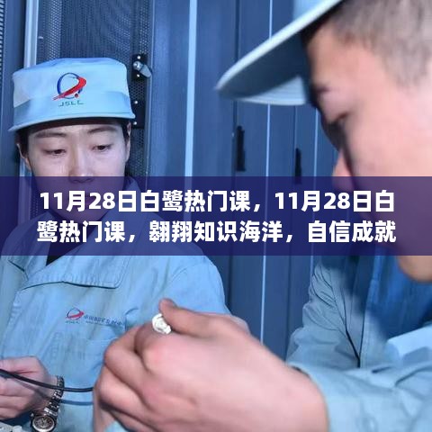 11月28日白鷺熱門課程，翱翔知識海洋，塑造自信未來夢想