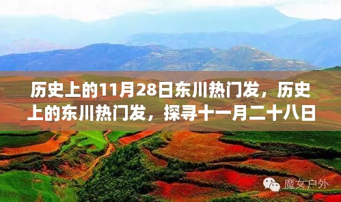 歷史上的11月28日東川熱門(mén)發(fā)，歷史上的東川熱門(mén)發(fā)，探尋十一月二十八日的輝煌印記