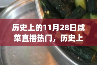 歷史上的11月28日咸菜直播熱門，歷史上的11月28日，見證咸菜直播熱門高科技產(chǎn)品的誕生與革新