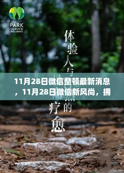 微信整頓新動態(tài)，啟程心靈之旅，擁抱自然新風(fēng)尚