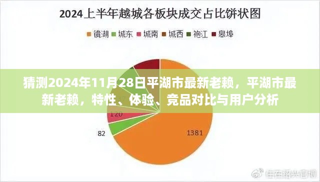 平湖市最新失信人員解析，特性、體驗(yàn)、競品對比與用戶洞察（預(yù)測至2024年11月）