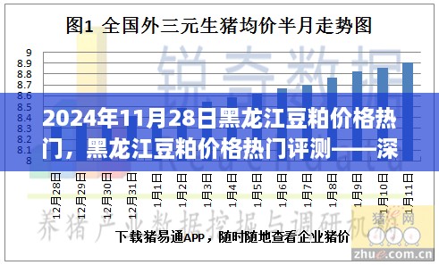 黑龍江豆粕價格熱門解析，深度剖析豆粕特性、用戶體驗與目標用戶群體分析報告