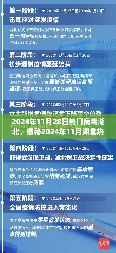 揭秘湖北熱門病毒現(xiàn)象，傳播特點、防控措施與公眾關(guān)注焦點（2024年11月報告）