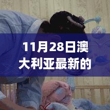 11月28日澳大利亞最新的政策，澳大利亞新政策啟航日，變化中的學(xué)習(xí)，自信與成就感的源泉