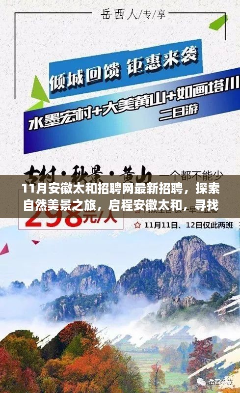 安徽太和最新招聘啟幕，探索自然美景之旅，啟程尋找內(nèi)心寧?kù)o與和諧