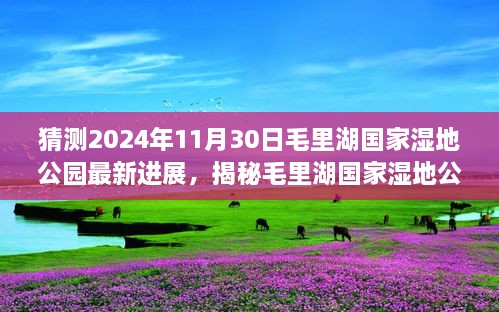 猜測(cè)2024年11月30日毛里湖國(guó)家濕地公園最新進(jìn)展，揭秘毛里湖國(guó)家濕地公園，2024年最新進(jìn)展展望