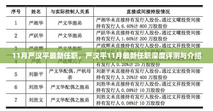 嚴(yán)漢平最新任職深度解析與介紹，揭秘其11月新職務(wù)的機(jī)遇與挑戰(zhàn)