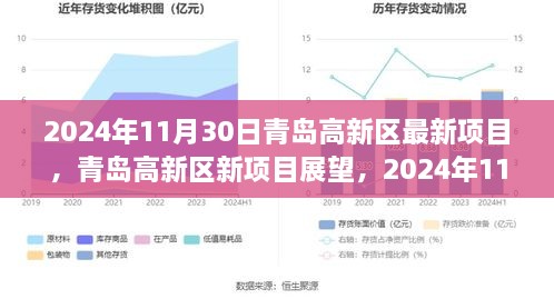 青島高新區(qū)新項(xiàng)目展望，機(jī)遇與挑戰(zhàn)并存，聚焦未來(lái)創(chuàng)新機(jī)遇（2024年11月30日）