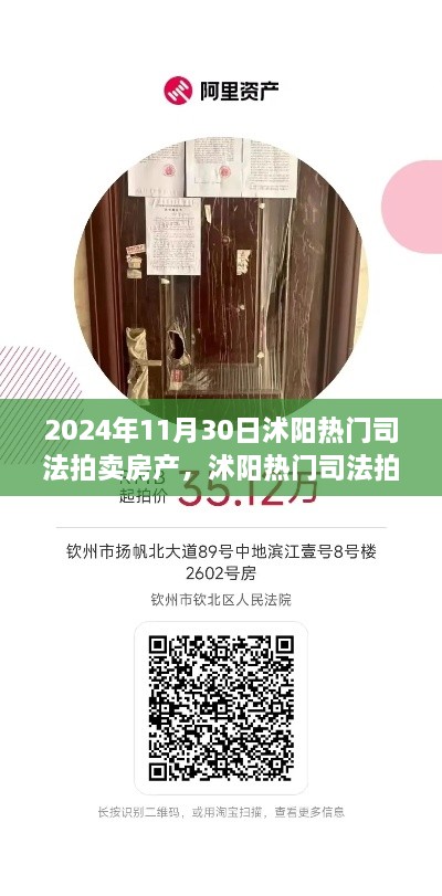 2024年11月30日沭陽熱門司法拍賣房產(chǎn)搶拍指南，最新房源大揭秘