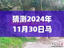 揭秘未來，馬山縣石豐村2024年11月30日最新動態(tài)展望指南