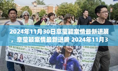 章瑩穎案最新進展報告，2024年11月30日案情更新與參與步驟指南