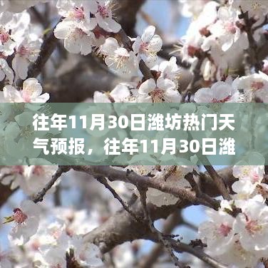 濰坊往年11月30日天氣預(yù)報回顧與旅行建議，氣象分析與建議