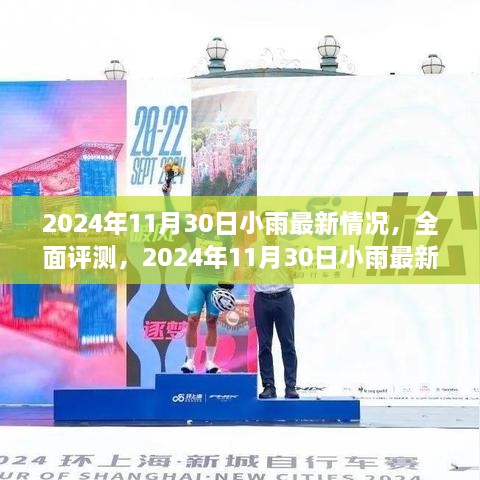 2024年11月30日小雨最新情況深度解析與全面評測