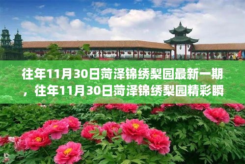 菏澤錦繡梨園，傳統(tǒng)戲曲魅力之旅的精彩瞬間探索