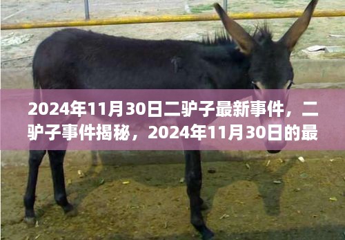 2024年12月 第834頁