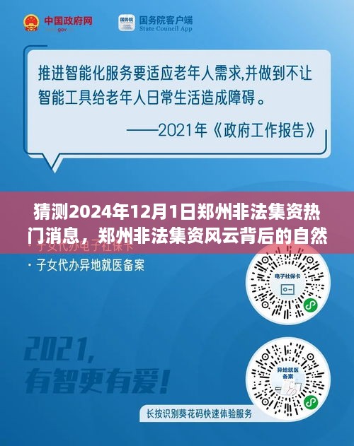 鄭州非法集資風(fēng)云背后的自然之旅，探尋心靈寧靜秘境的秘境與熱門消息猜測 2024年12月1日最新動(dòng)態(tài)