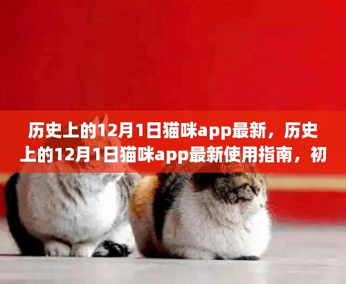 歷史上的12月1日貓咪app最新，歷史上的12月1日貓咪app最新使用指南，初學(xué)者與進(jìn)階用戶的全面教程