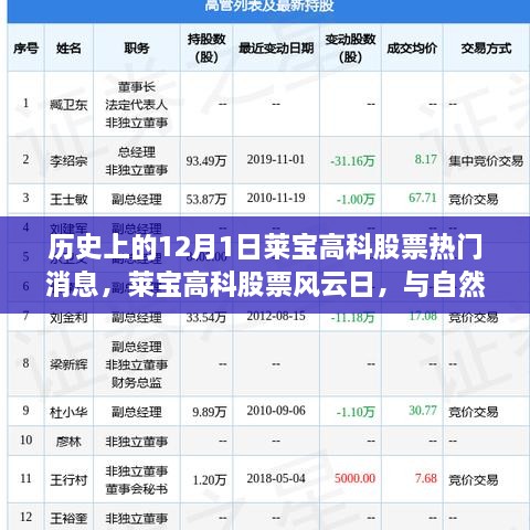 歷史上的12月1日萊寶高科股票熱門消息，萊寶高科股票風(fēng)云日，與自然美景的奇妙邂逅，心靈旅行的啟程時(shí)刻