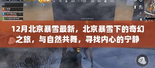 北京暴雪下的奇幻之旅，與自然共舞，探尋內(nèi)心寧靜的旅程