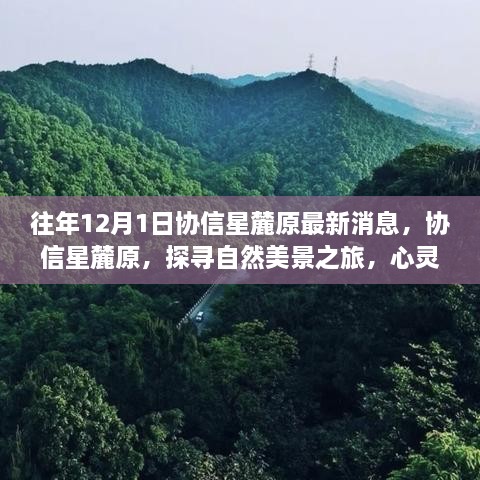 協(xié)信星麓原最新消息，探尋自然美景之旅的心靈港灣