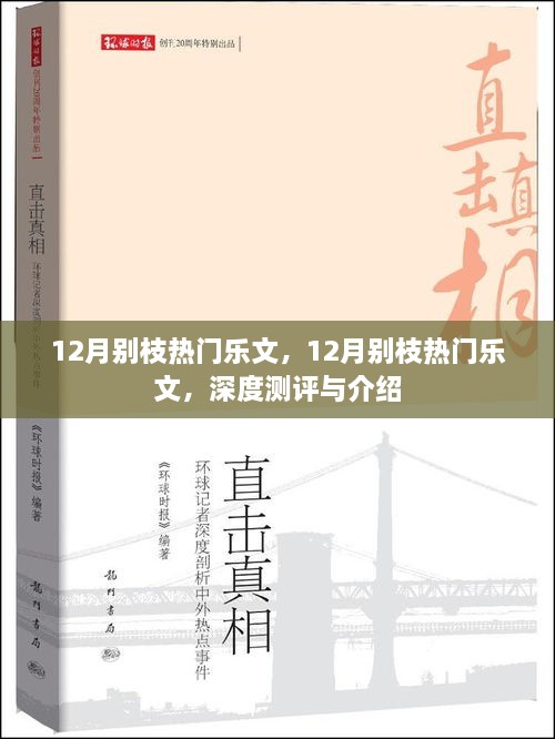 深度測評與介紹，12月別枝熱門樂文