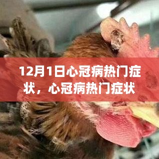 心冠病熱門癥狀深度解析，背景、事件與影響（最新更新）