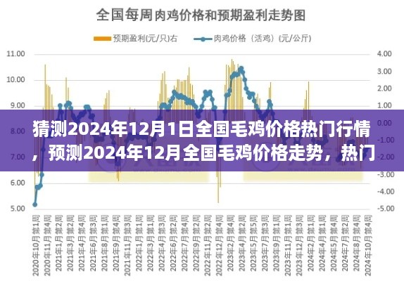 2024年12月全國毛雞價格行情預(yù)測與深度解析