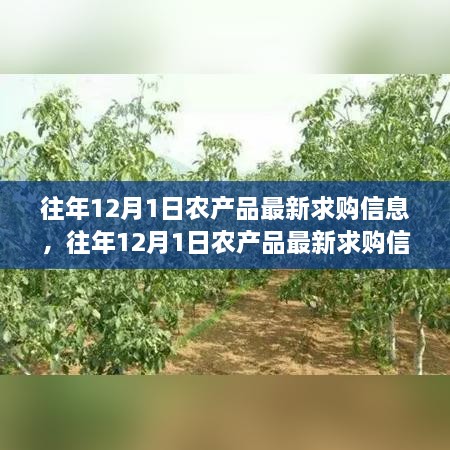 往年12月農產品最新求購信息概覽，獲取指南與進階教程