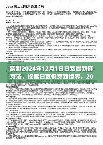 探索白芨催芽新境界，2024年白芨最新催芽法完全指南（適合初學(xué)者與進(jìn)階用戶）