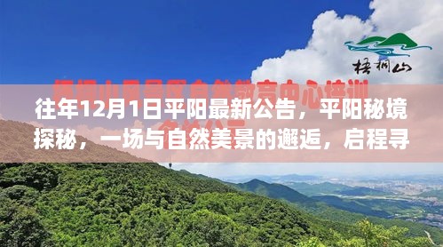 平陽秘境探秘之旅，與自然美景的邂逅，尋找寧靜之地啟程