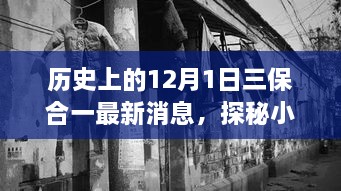 歷史上的12月1日三保合一揭秘，最新消息與小巷深處的獨(dú)特風(fēng)味