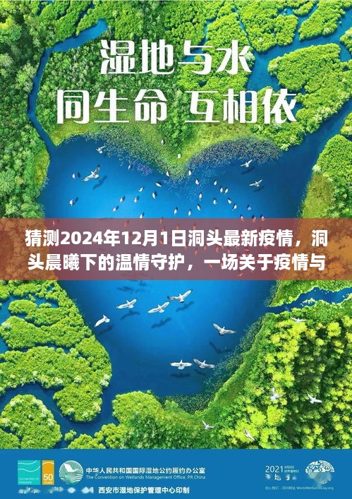 洞頭晨曦下的溫情守護，疫情與友情的日常故事預(yù)測至2024年12月1日