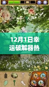 2024年12月2日 第9頁(yè)