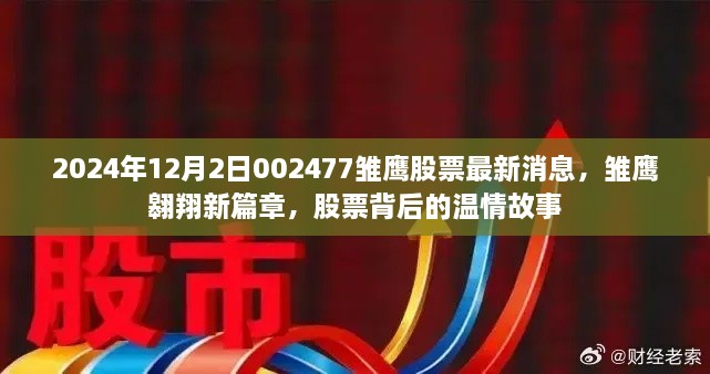 雛鷹翱翔新篇章，揭秘股票背后的溫情故事與最新動(dòng)態(tài)