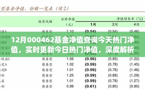 12月000462基金凈值查詢今天熱門凈值，實(shí)時(shí)更新今日熱門凈值，深度解析12月000462基金凈值查詢