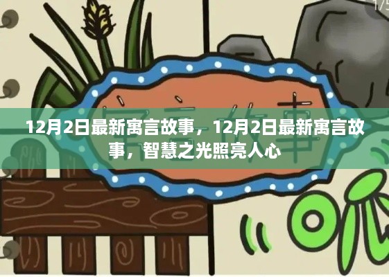 12月2日最新寓言故事，智慧之光照耀人心