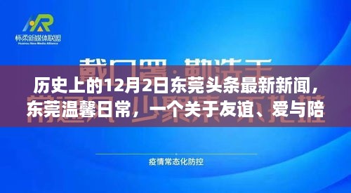 東莞頭條新聞，友誼與愛在冬日綻放——十二月二日的溫馨日常故事