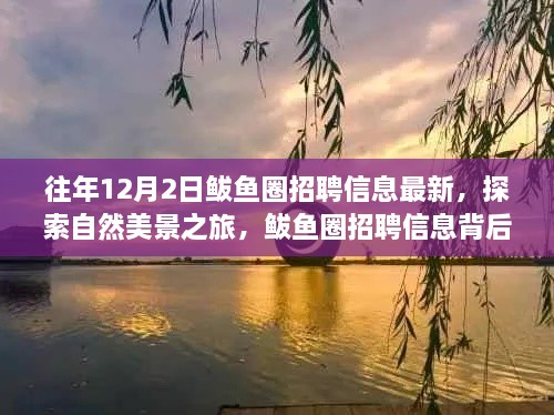 揭秘鲅魚(yú)圈招聘信息背后的自然美景之旅，寧?kù)o秘境等你來(lái)探索