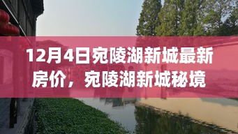 宛陵湖新城房價(jià)揭秘，秘境小巷特色小店與最新房價(jià)探秘之旅