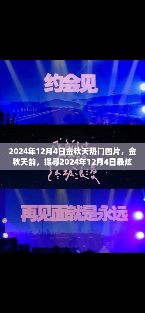 探尋金秋韻味，2024年12月4日熱門圖片精選