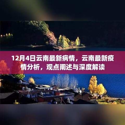 云南疫情最新動態(tài)，深度解讀與分析報告（12月4日更新）